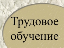 Презентация к уроку Мозаика из семян, крупы. Изготовление ежа.