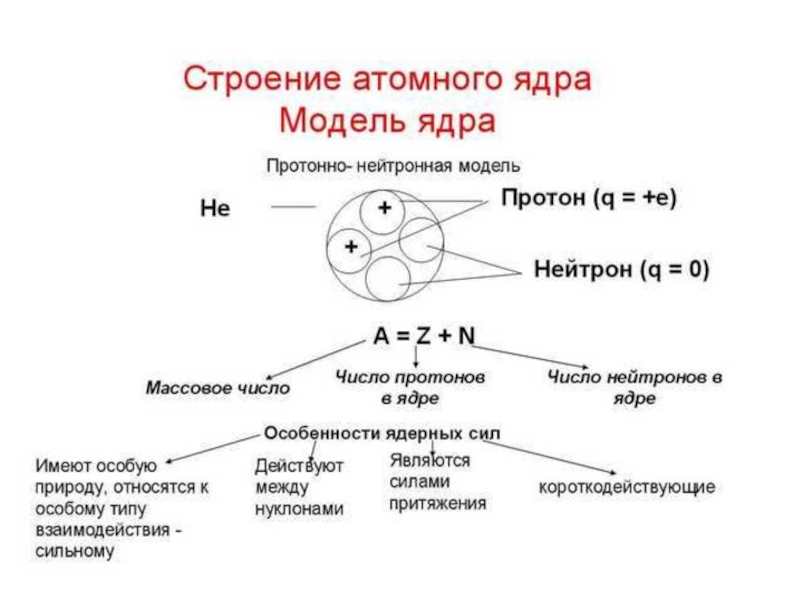 Схема строения атомного ядра