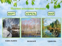 Презентация по теме Насекомые, УМК Начальная школа 21 века, 1 класс