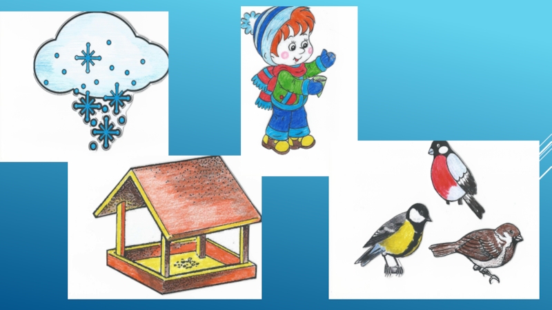 Ознакомление с окружающим птицы. Птицы зимой младшая группа. Зимующие птицы старшая группа. Иллюстрации зимующих птиц. Зимующие птицы занятие для малышей.