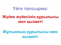 Биология пәні бойынша презентация Мидың құрылысы 8 сынып