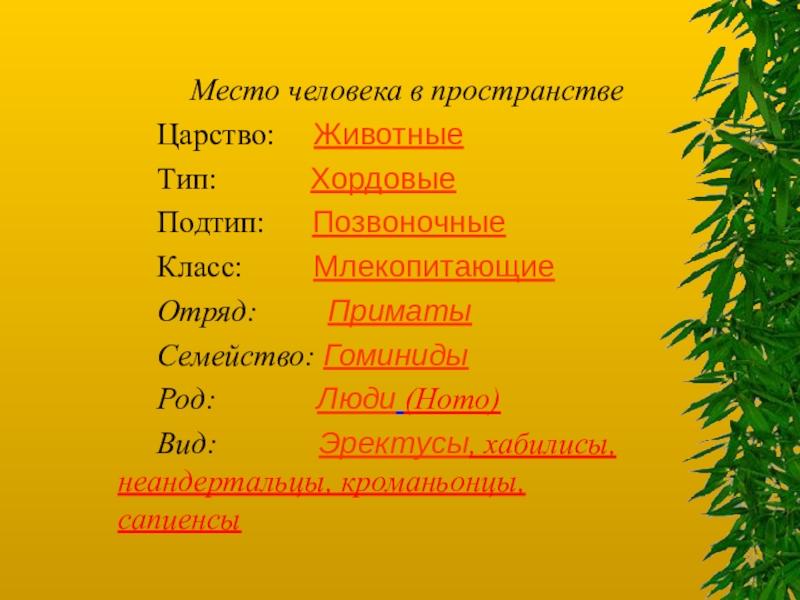 6 место человека. Место человека в царстве животных кратко. Место человека в системе царства животные. Место человека. Место вида человека разумного в царстве животных.