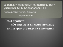 ПрезентацияОвощные и плодово-ягодные культуры - это вкусно и полезно