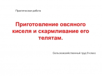 Практическая работа: Приготовление овсяного киселя и скармливание его телятам.