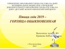 Презентация по экологии : Обыкновенная горлица