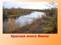 Красная книга Ямала. Рыбы