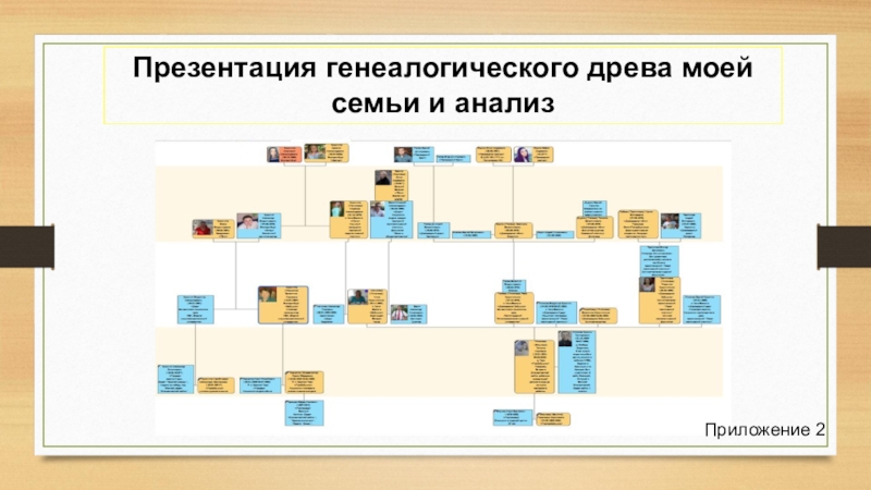 Родословная пример презентации