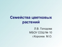 Презентация к уроку Семейства цветковых растений