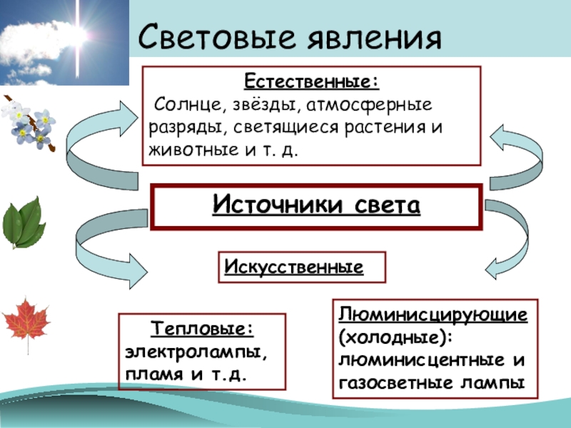 Презентация на тему световые явления 8 класс