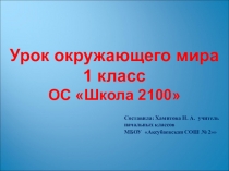 Презентация к уроку окружающего мира по теме: Зима: покой природы для 1 класса