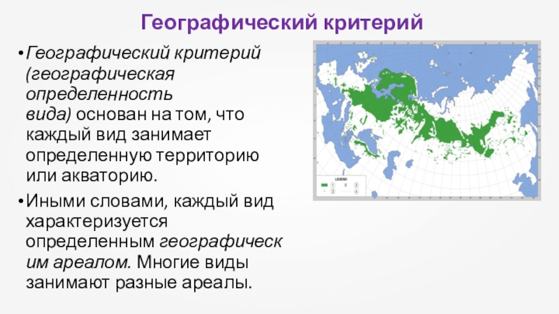 Вид в природе занимает определенный ареал. Эколого-географический критерий. Географический критерий. Географический критерий примеры.