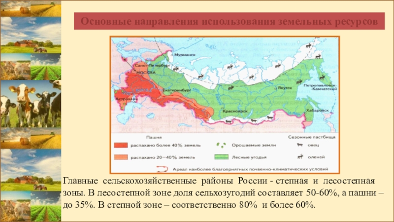 Апк степной зоны. Основные районы сельского хозяйства РФ. Главные сельскохозяйственные районы. Главные сельскохозяйственные районы России. Направление сельского хозяйства в лесостепной и Степной зонах.