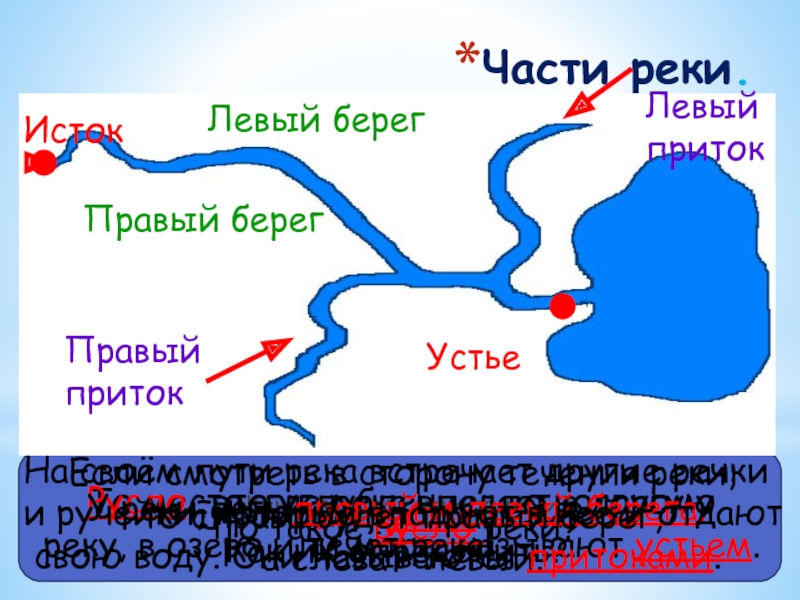 Река впадает в озеро рисунок схема. Река Волга Исток и Устье притоки. Волга Исток Устье притоки.