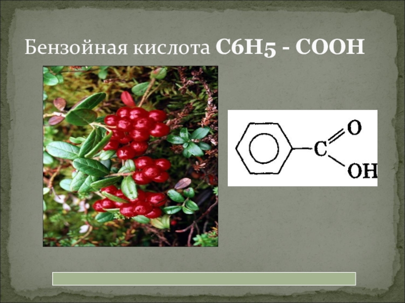 Бензойная кислота презентация