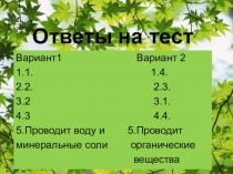 Презентация по биологии на тему Внешнее строение листа (6 класс)