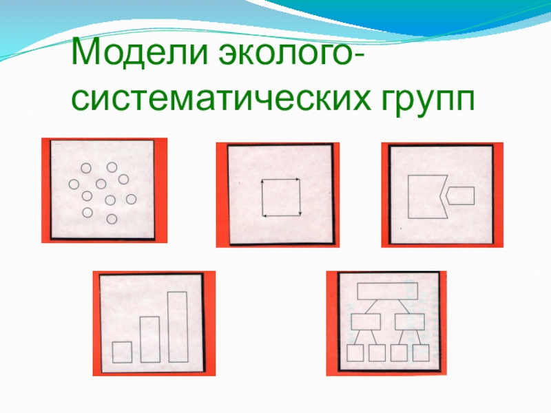 Модели эколого систематических групп для дошкольников картинки