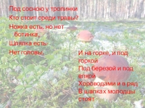 Презентация по биология по теме Грибы 5 класс фгос