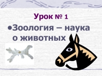 Урок Зоология - наука о животных