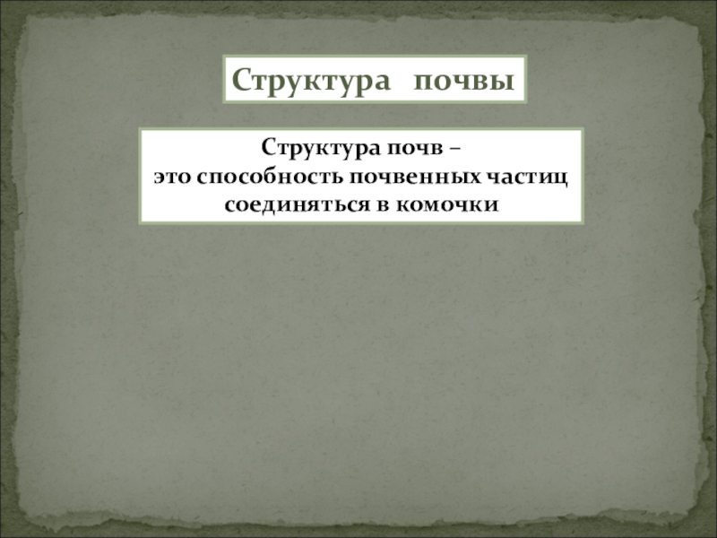 Почва особое природное образование презентация 8 класс пятунин