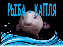 Презентация по биологии РЫБА-КАПЛЯ
