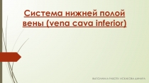 Презентация по анатомии и физиологии человека на тему Система Нижней Полой Вены