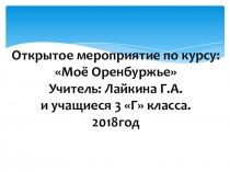 Презентация к конспекту урока Оренбуржцы - Олимпийские чемпионы