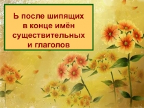 Мягкий знак после шипящих