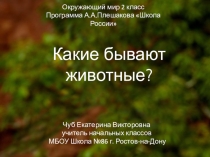 Презентация для урока по окружающему миру Какие бывают животные?