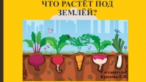 Презентация по ознакомлению с окружающим на тему: Что расёт под землёй?