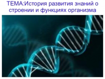 Презентация по биологии на тему: История развития знаний о строении и функциях организма человека