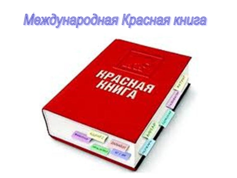 Международная красная. Международная красная книга. Международная красная книга фото. Первое издание международной красной книги. Международная кррасная Крига это.