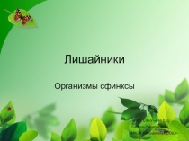 Презентация по биологии Лишайники (5 класс)