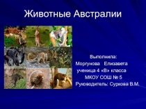 Презентация по окружающему миру на тему Животные Австралии