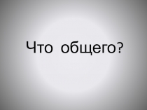 Викторина по географии Что общего? (5 класс)