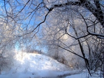 Презентация по обучению грамоте Буква В в.