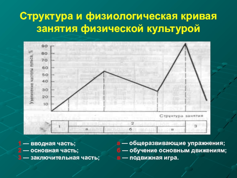 Графическое изображение динамики пульса