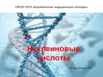 Презентация по биологии на тему Нуклеиновые кислоты