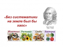Презентация по биологии на тему Основы систематики растений