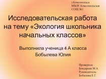 Исследовательский проект по экологии Здоровый образ жизни.