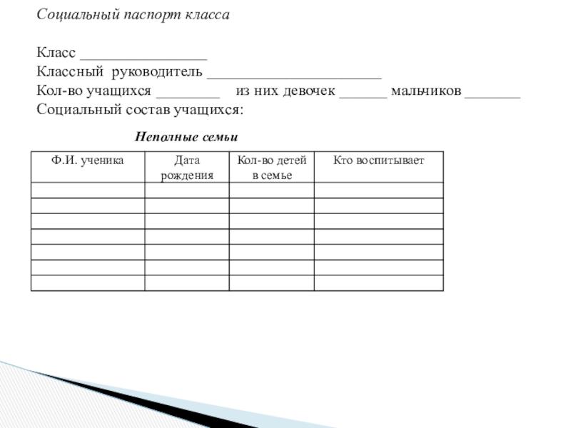 Паспорт социального проекта в школе