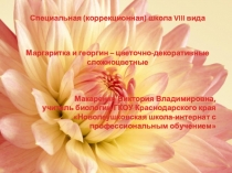 Презентация Маргаритка и георгин. 7 класс