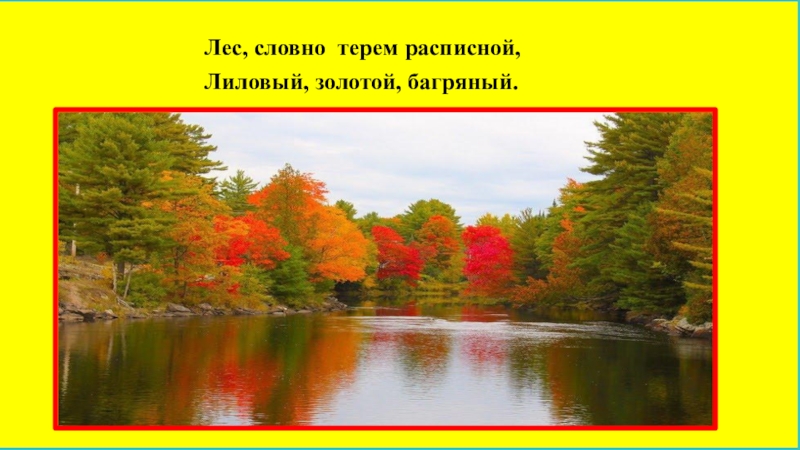 Лес будто. Лес лиловый золотой багряный. Расписной лиловый золотой багряный. Лес словно Терем расписной лиловый золотой багряный. Лес точно Терем расписной иллюстрации.