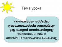 Презентация по биологии на тему Развитие насекомых