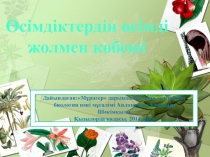 Презентация по биологии на тему Өсімдіктерді өсімді жолмен көбейту