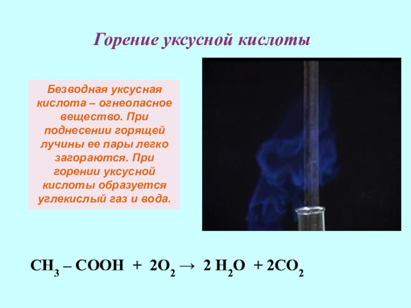 Горит с образованием воды. Горение уксусной кислоты реакция. Уравнение реакции горения уксусной кислоты. Формула горения уксусной кислоты. Сгорание уксусной кислоты.
