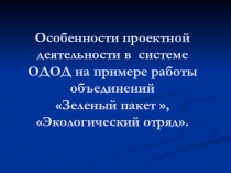 Работа по проектам объединения Экологический отряд педагог Смородина Я.В.