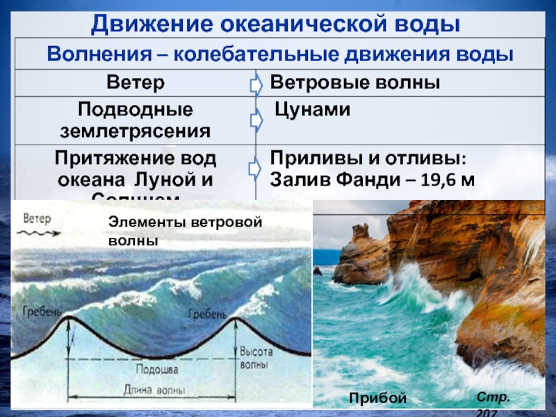 Какая вода в океанах почему. Движение океанических вод. Элементы волны. Высота ветровых волн. Движение вод в морях и океанах..