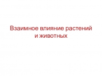 Презентация по экологии для 6 класса Взаимные влияния растений и животных