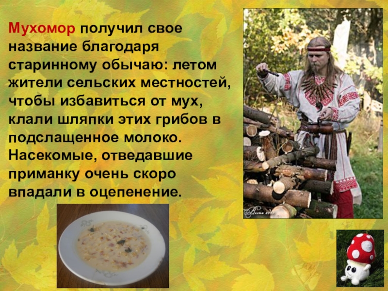 Имя благодаря. Рассказ о мухоморе 2 класс. Факты о мухоморах для ведьм. Сообщение о мухоморе 2 класс кратко. Мухомор к какому времени относится появление этих названий.