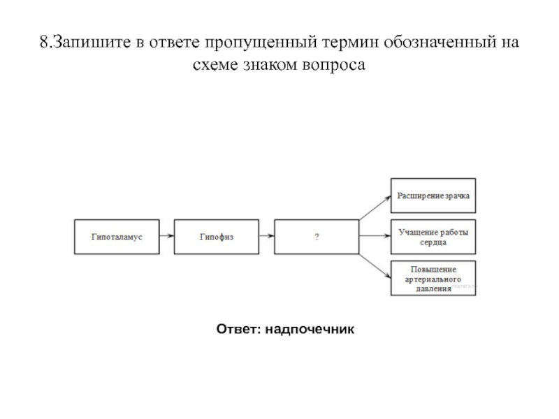 Запишите в ответе пропущенный термин обозначенный на схеме знаком вопроса